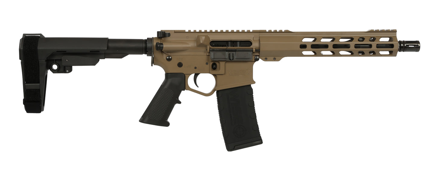 WS10-300-SB-FDE