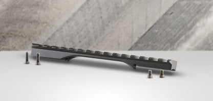 CN8100001202