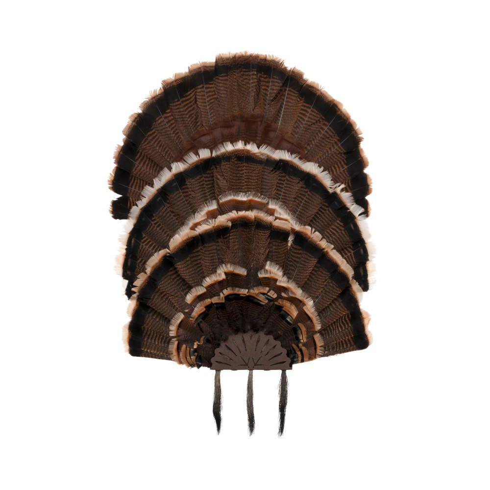 AN7258