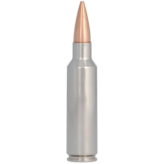 FAP300WSMBCH1