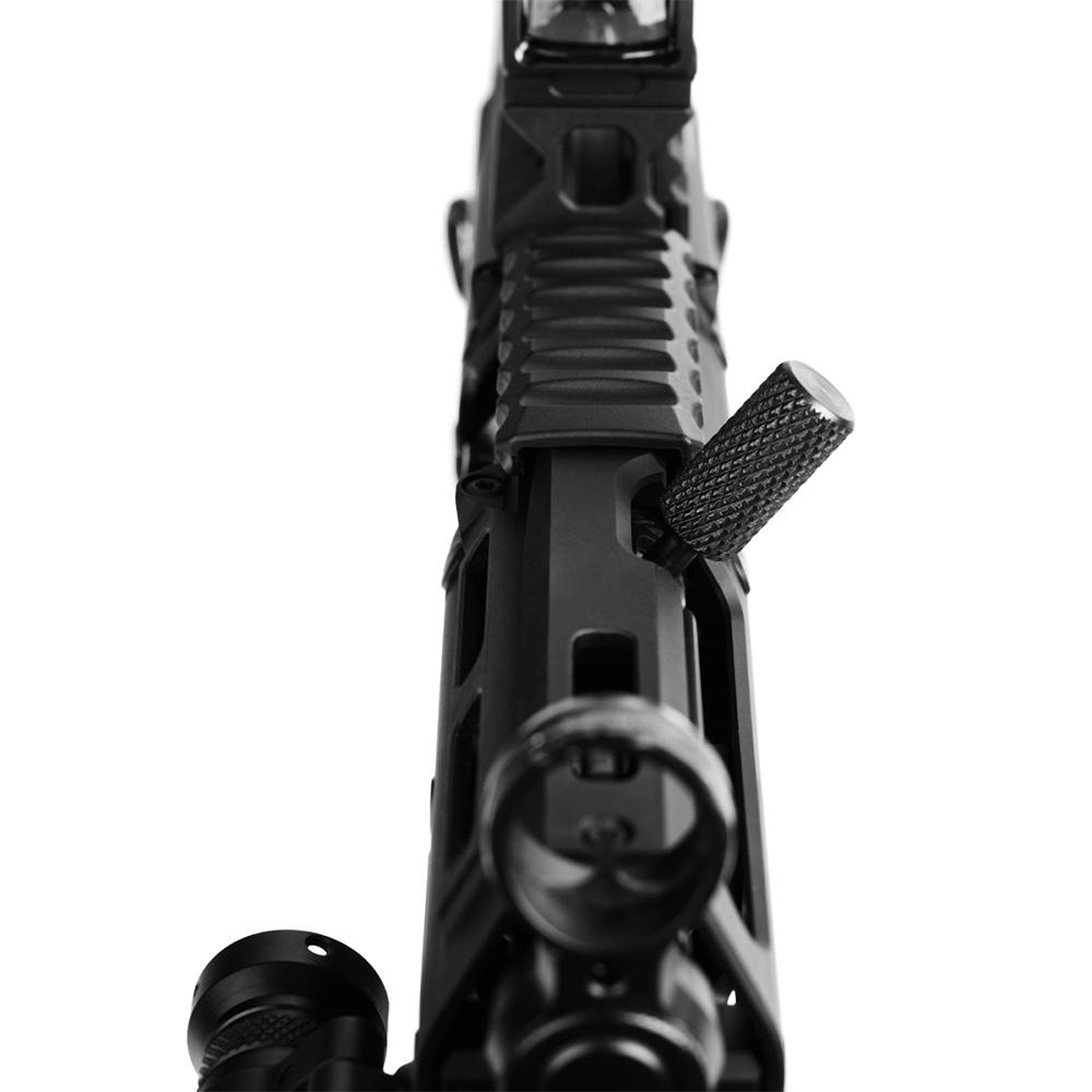 LICHMP5E