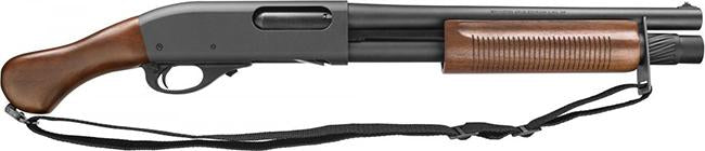 RL81231