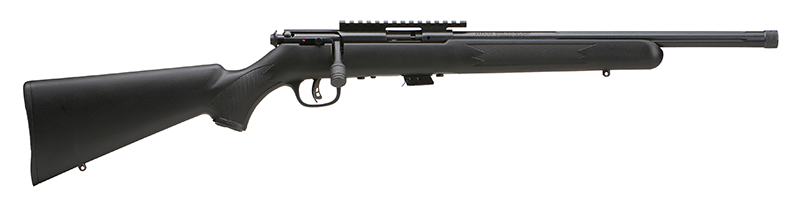 SVMARKIIFVSR21