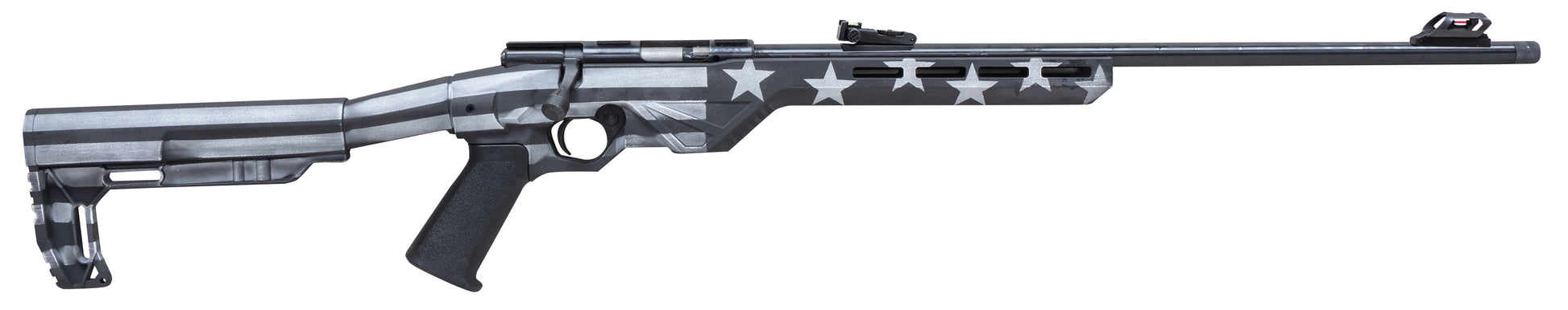 LSCIT22LRBLTUSG
